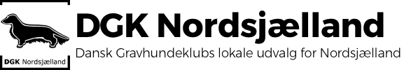DGK Nordsjælland